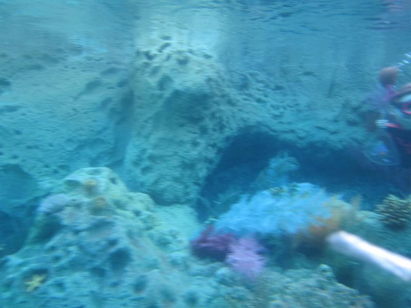 IMG_2015.JPG